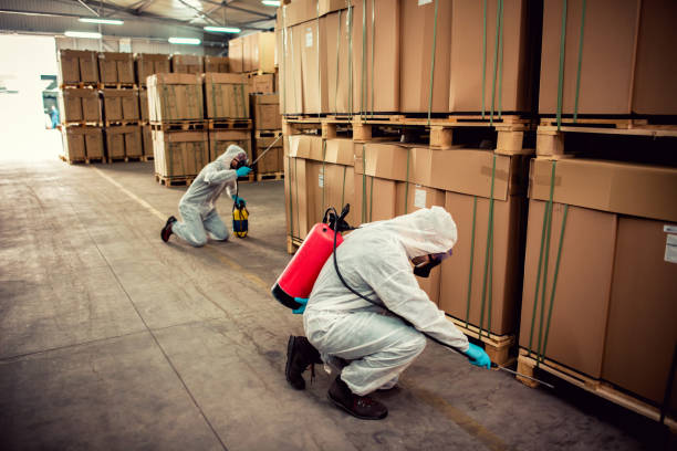 Pest Prevention Services in Loomis, CA