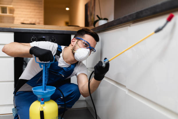Best Pest Control Near Me in Loomis, CA